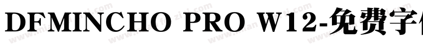 DFMINCHO PRO W12字体转换